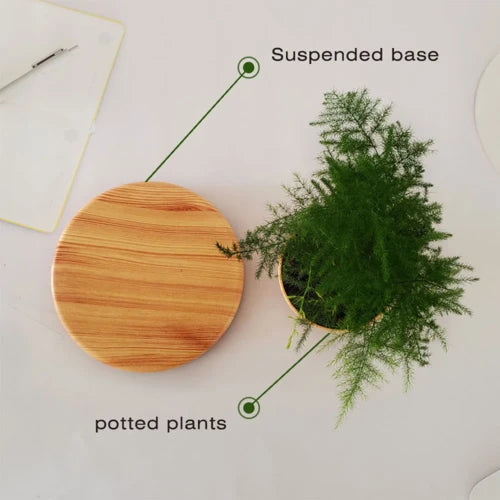 Floating Magnetic Rotating Flower Pot – Home Decor (No Plant Included)