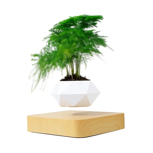 Floating Magnetic Rotating Flower Pot – Home Decor (No Plant Included)